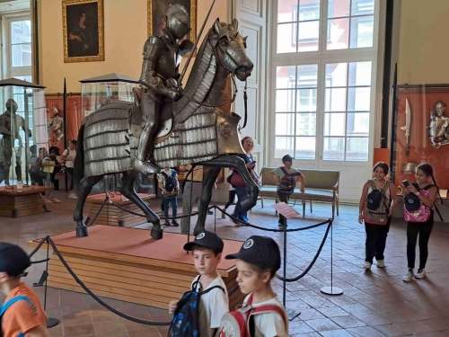 Campo Estivo Primaria - Museo Reggia di Capodimonte e Parco