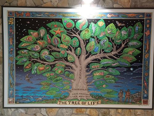 Acquario e Museo Darwin Dohrn - Primaria