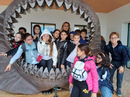 Acquario e Museo Darwin Dohrn - Primaria