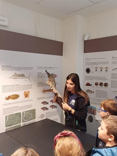 Acquario e Museo Darwin Dohrn - Primaria