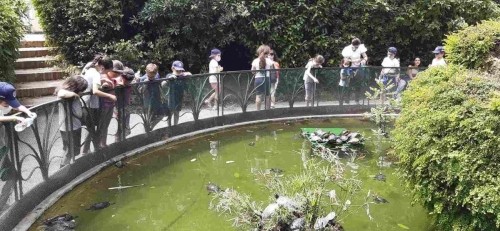 Campo Estivo Scuole Pie Napoletane "Una giornata all'insegna della cultura e del divertimento"Certosa e Museo San MartinoIl Catello Sant'ElmoVilla Floridiana